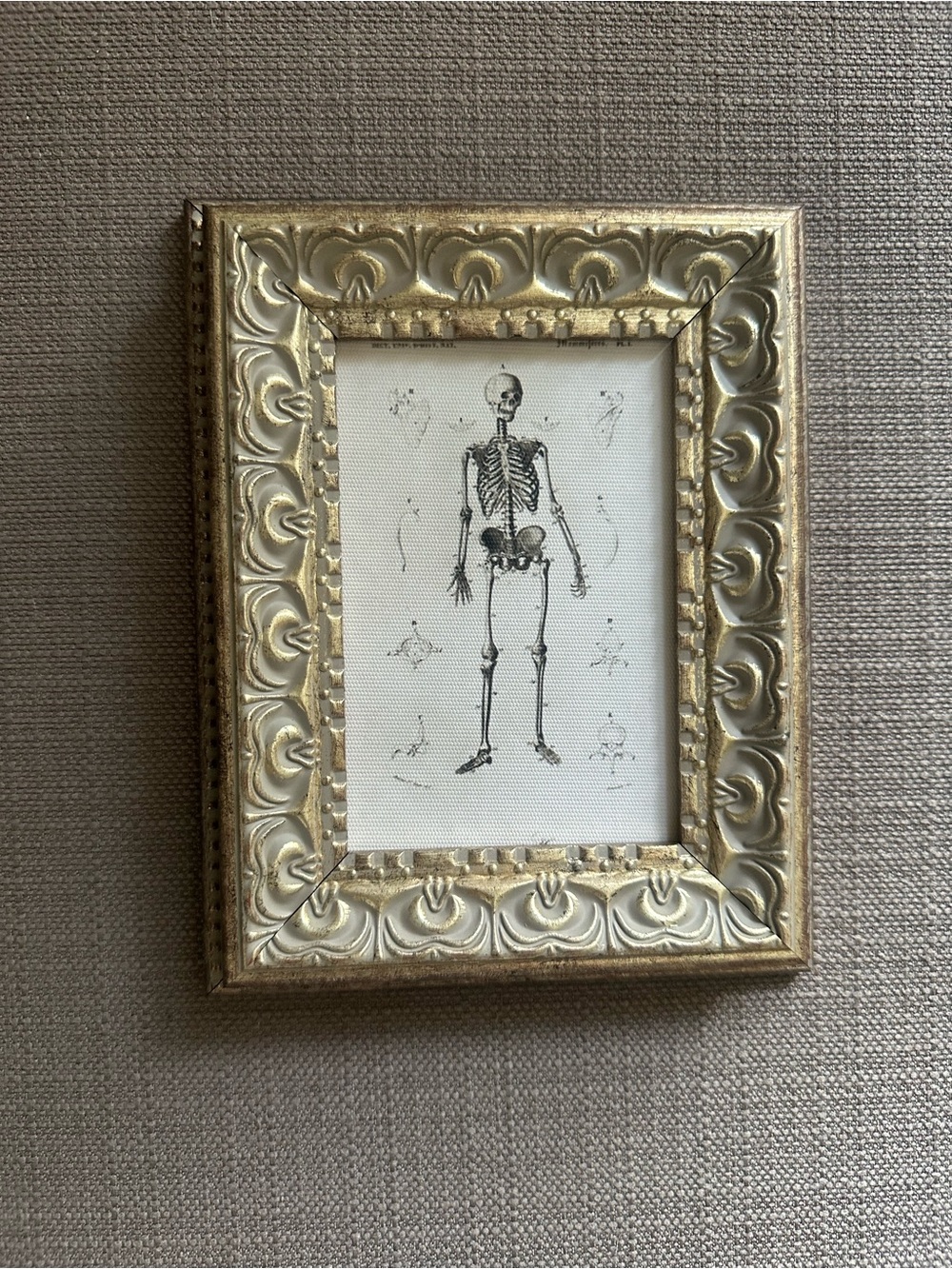 Skeleton Art Ornate Gold Accent Picture Frame - Decorative Halloween Wall Art